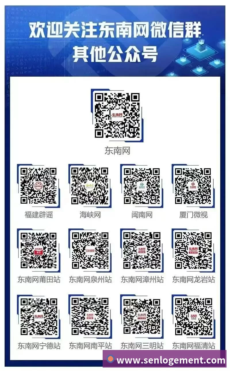 奖项证书
