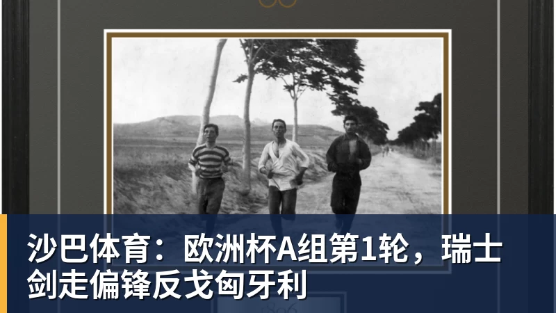华体会体育沙巴体育：欧洲杯A组第1轮，瑞士剑走偏锋反戈匈牙利