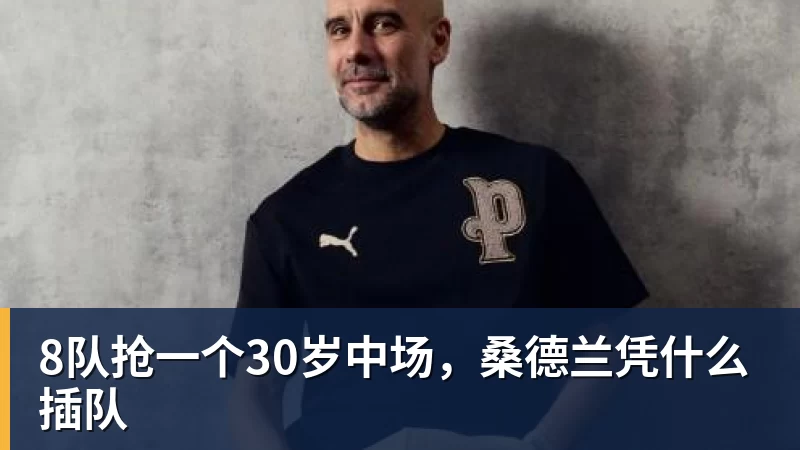 华体会体育8队抢一个30岁中场,桑德兰凭什么插队
