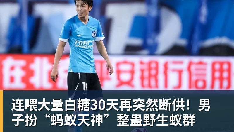 华体会体育连喂大量白糖30天再突然断供！男子扮“蚂蚁天神”整蛊野生蚁群